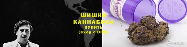 сатива Лихославль