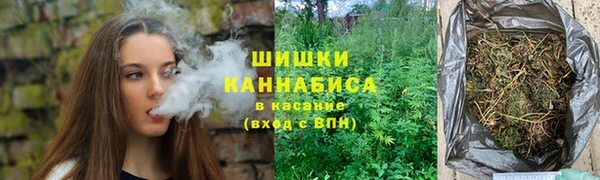 дмт Майский