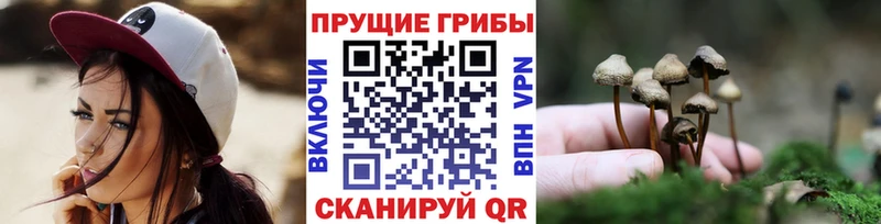 Псилоцибиновые грибы мухоморы Мещовск