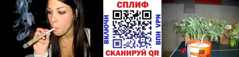 Каннабис Bruce Banner  kraken рабочий сайт  Мещовск 